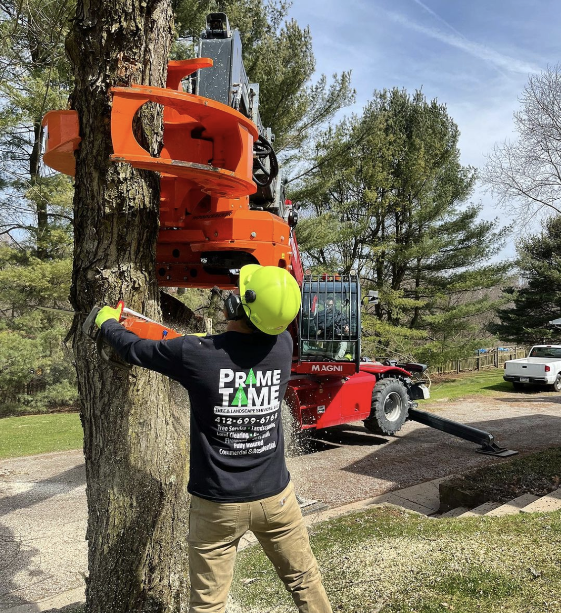 Why Hiring an ISA Certified Arborist Matters for Tree Care in Pittsburgh