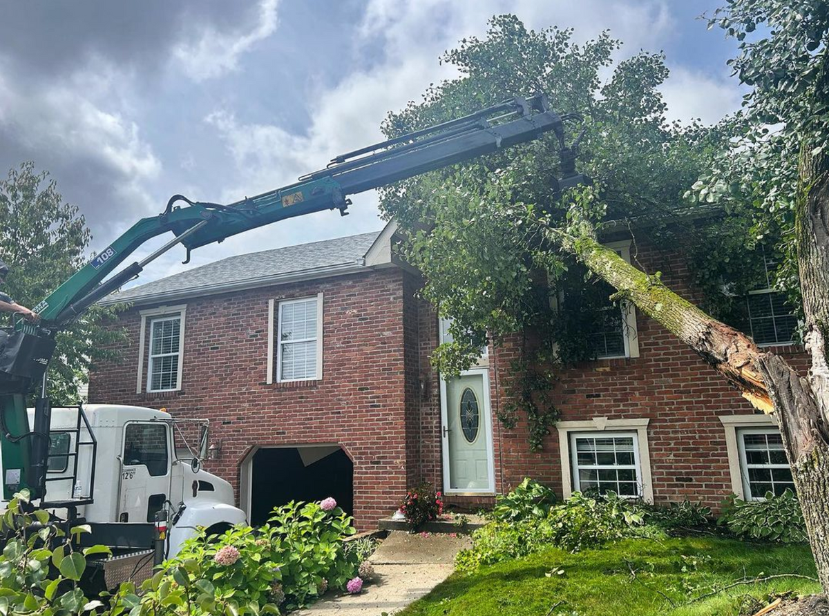 A tree laying on a red brick house after a storm knocked it over. A crane is lifting it off.