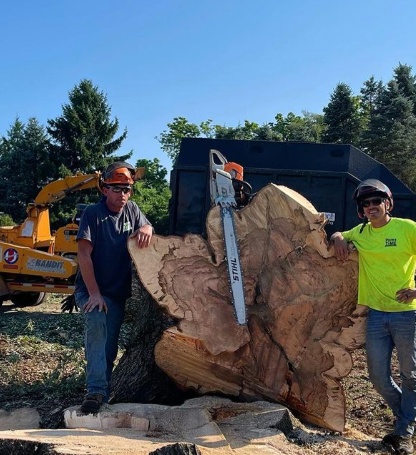 Professional Removal Service Over DIY: Top 10 Reasons