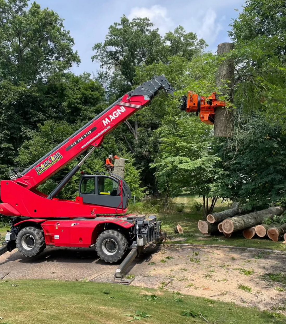 Signs of decay and structural weakness in Pittsburgh, ensuring safety and tree health.