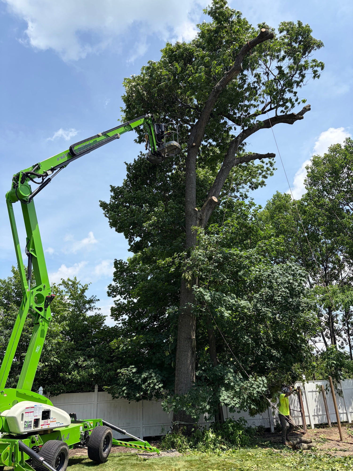 An overgrown tree being removed from a property with a large green crane and operator sawing off each setion.