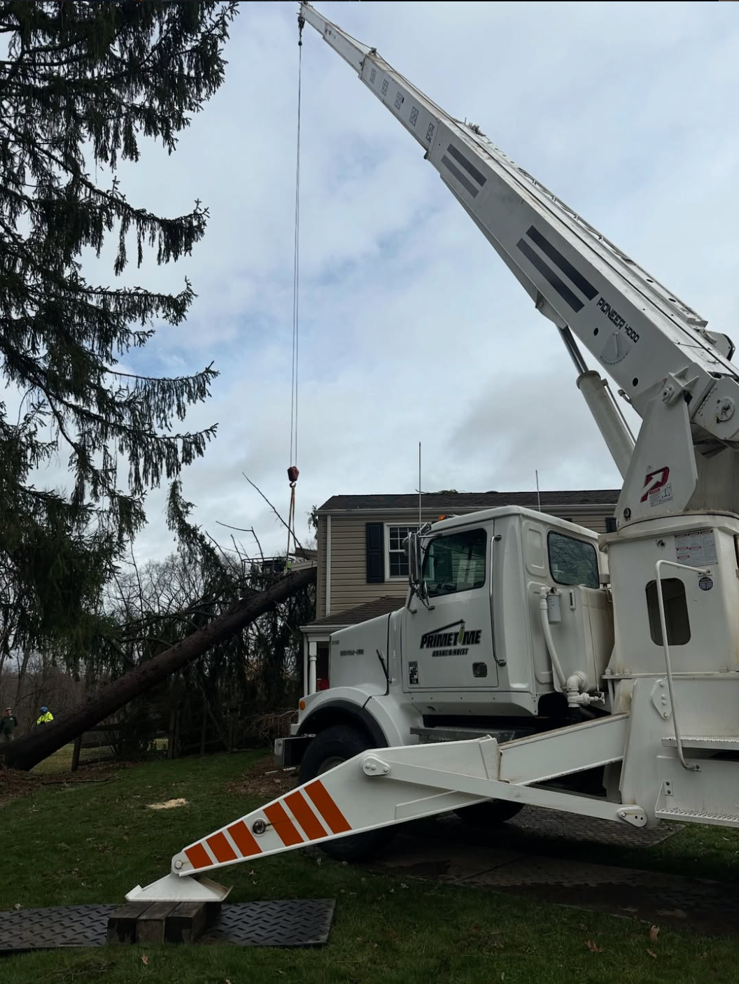 Why Pittsburgh Homeowners Wait Too Long to Call a Tree Service (And What It Costs Them)