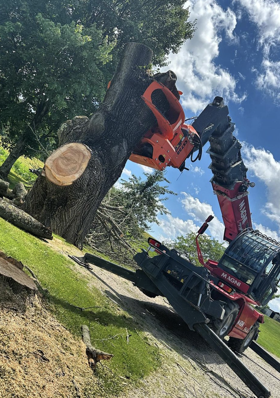 Elevate Your Tree Removal Experience with Primetime's Magni Telescopic Handler