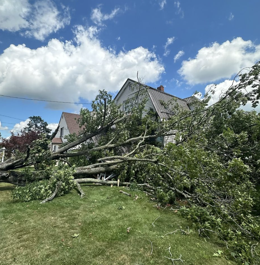 Emergency Tree Removals in Pittsburgh