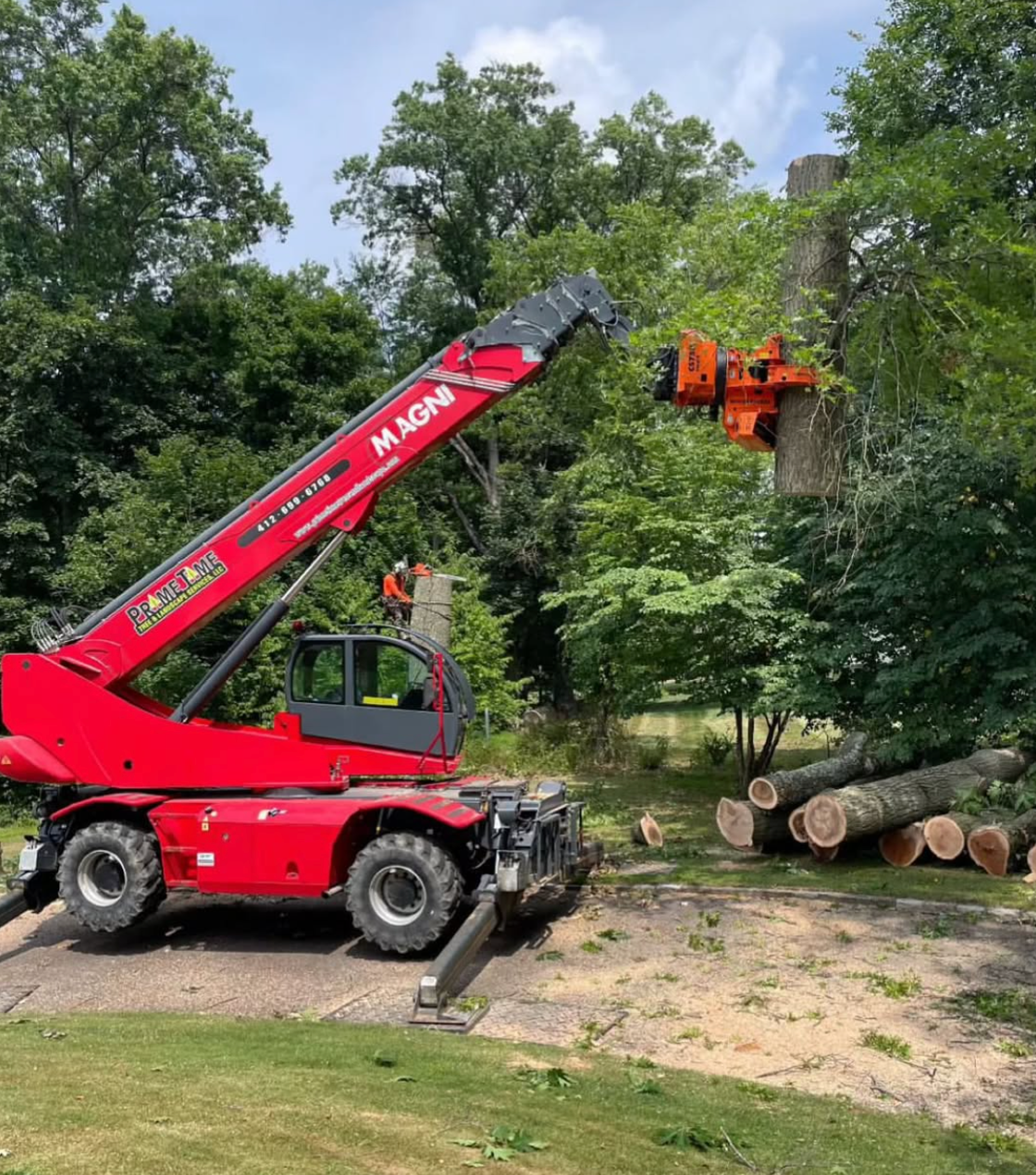 Signs of decay and structural weakness in Pittsburgh, ensuring safety and tree health.