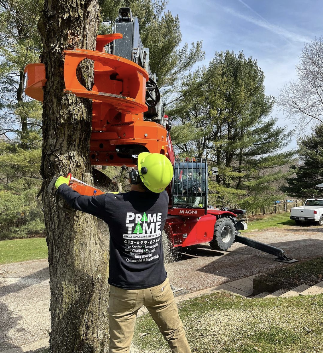 Arborist in Pittsburgh removing a tree using a Magni telescopic handler for safe and efficient tree service